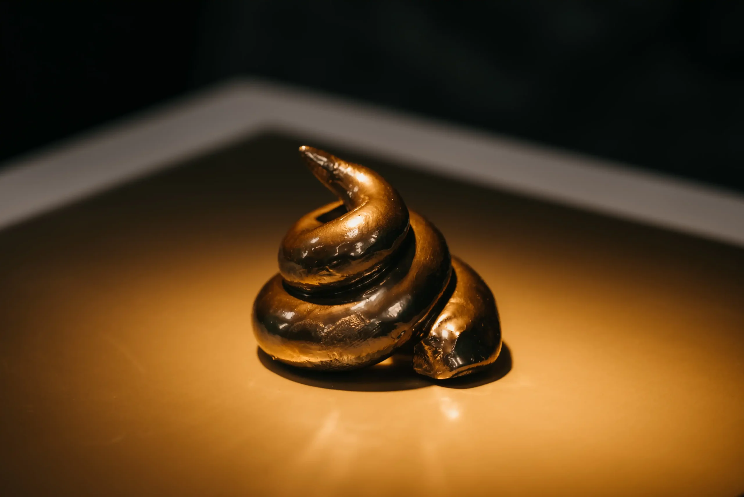 GOLD SHIT